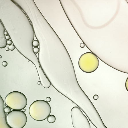 AV_COMPLEXE_OLEA_APAISANT_500x500